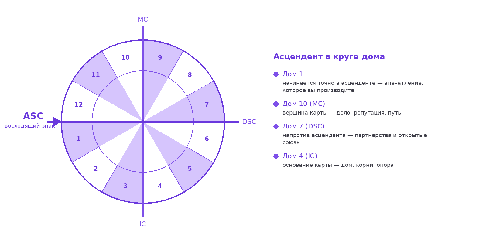 Схема круга домов натальной карты с осью асцендент—десцендент и подписанными вершинами MC и IC