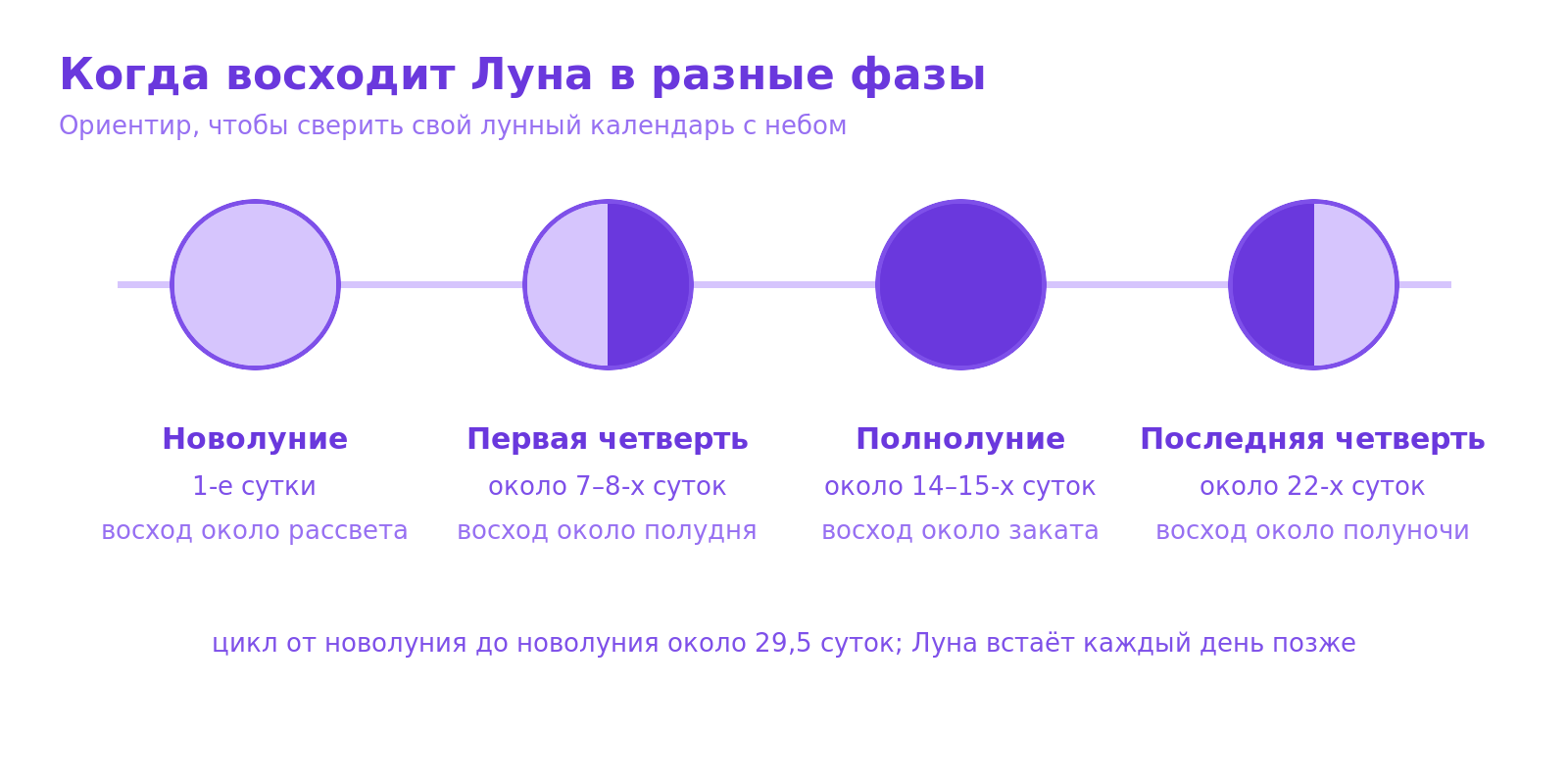 Схема: когда восходит Луна в новолуние, первую четверть, полнолуние и последнюю четверть